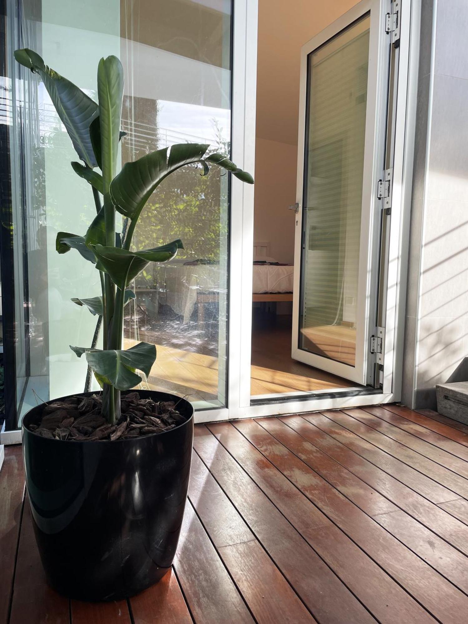 Belvedere House Appartamento Roma